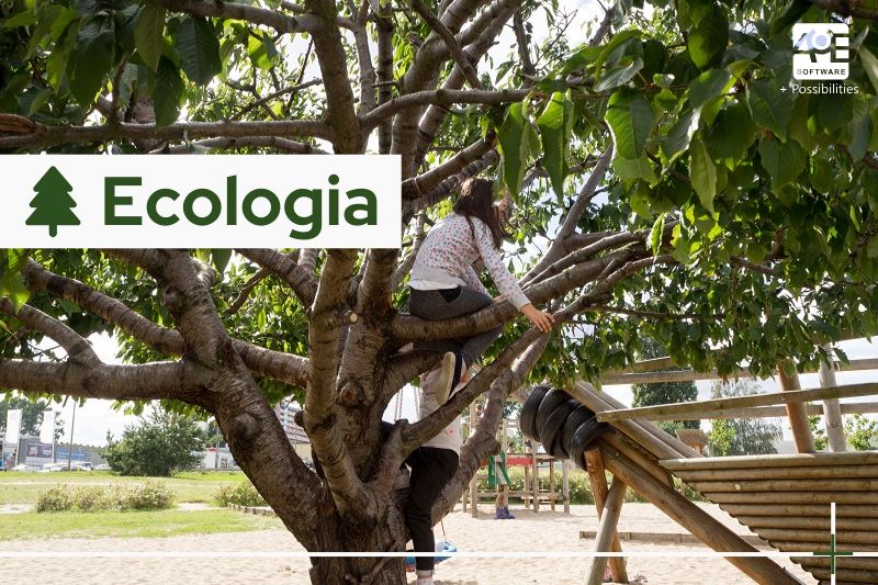O Paisagismo que te acompanha da cozinha até seu banho