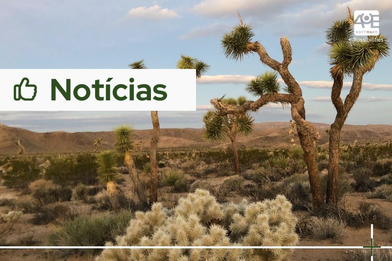Curso de Formação de Floristas VieDecor em Porto Alegre